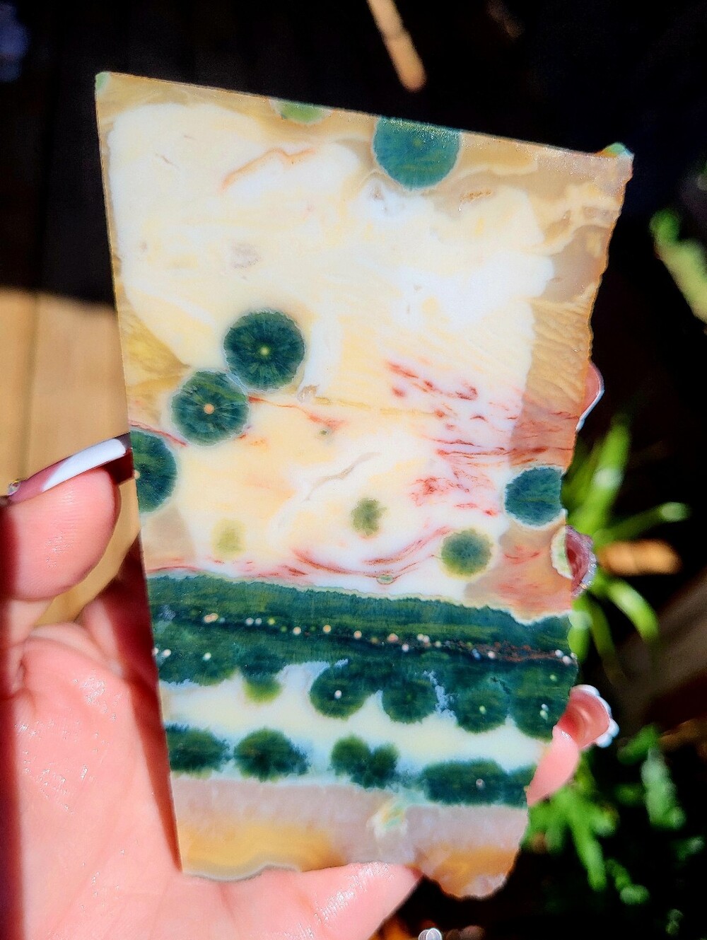 Ocean Jasper Vein 1 Old Stock